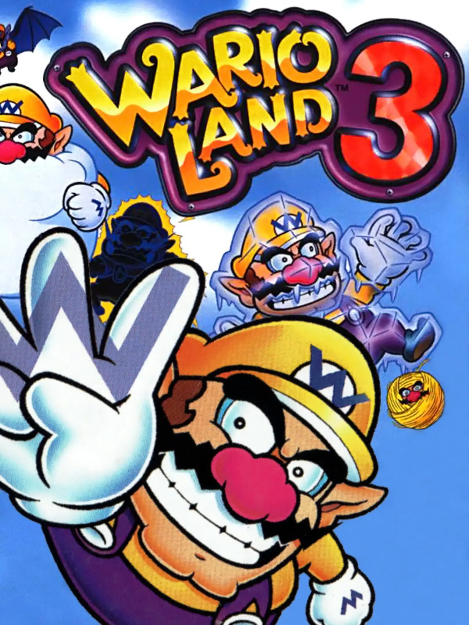 Picture of Wario Land 3 (2)