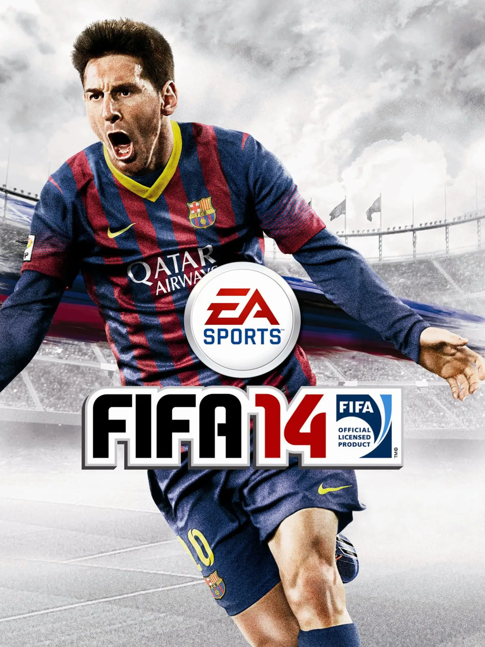 Picture of FIFA 14
