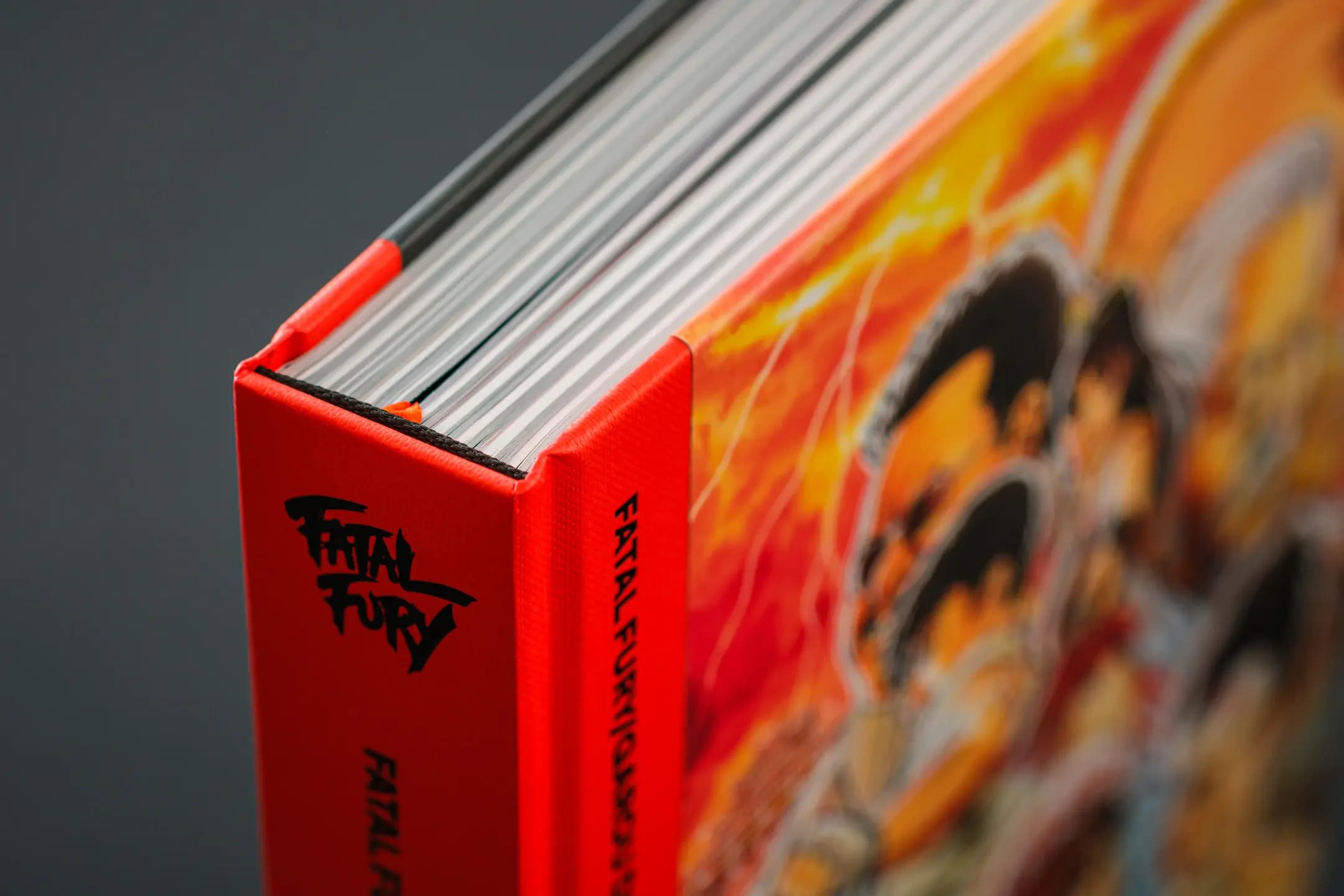 Picture of Fatal Fury/Garou Densetsu: The Ultimate History 2