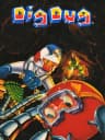 Picture of Dig Dug