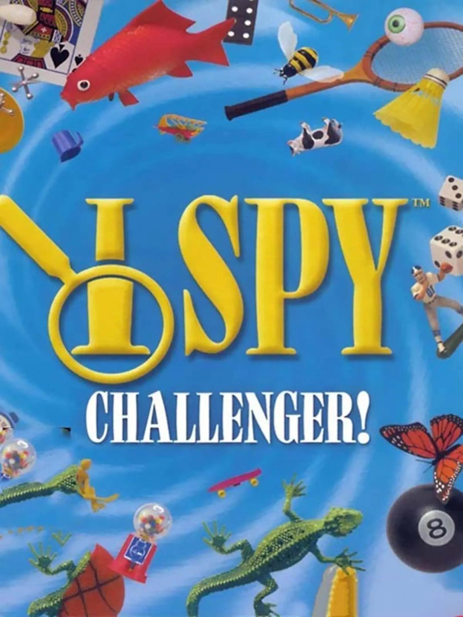 Picture of I Spy Challenger!
