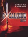 Picture of Excalibur 2555 A.D.