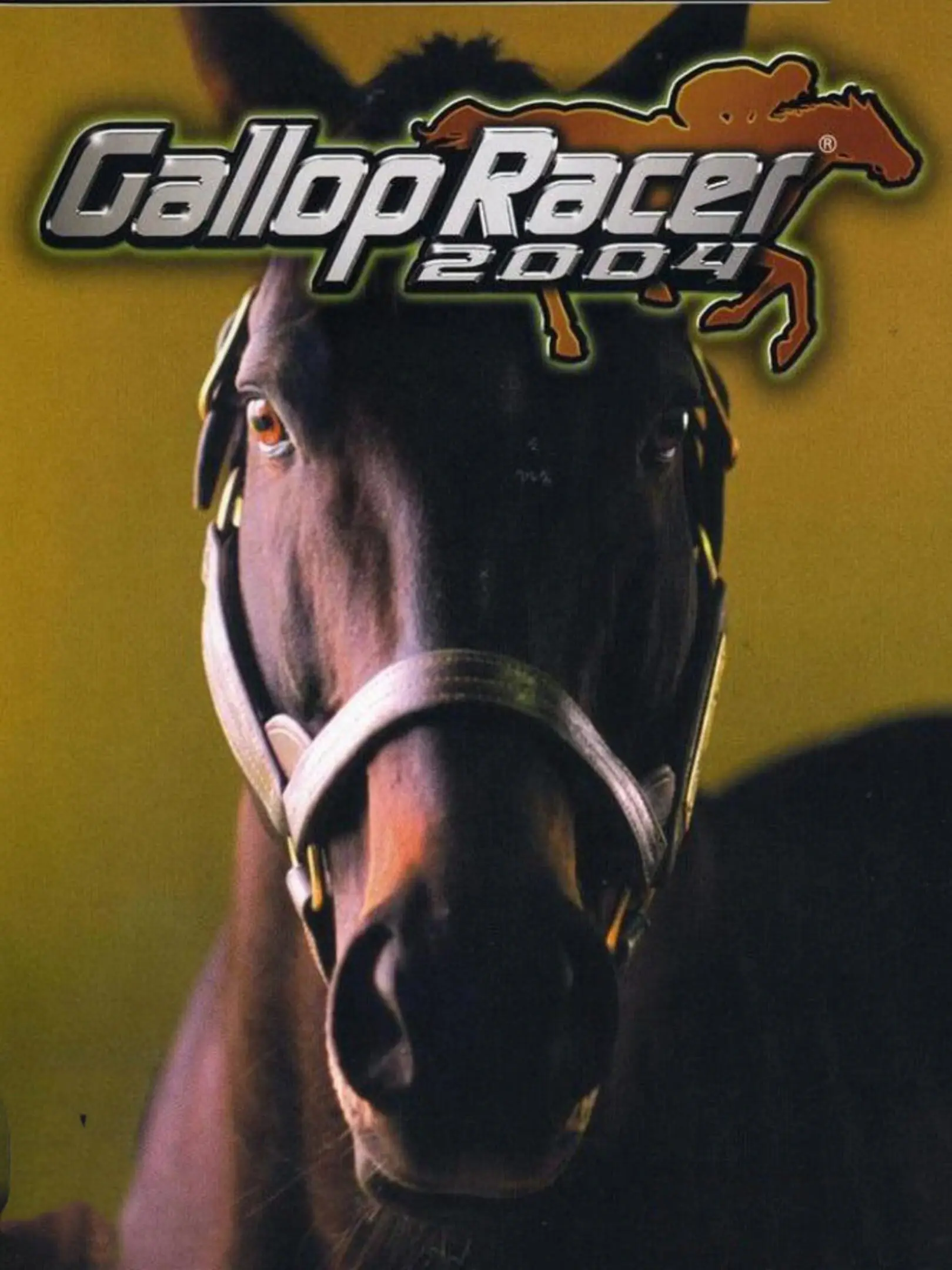 Gallop Racer 2