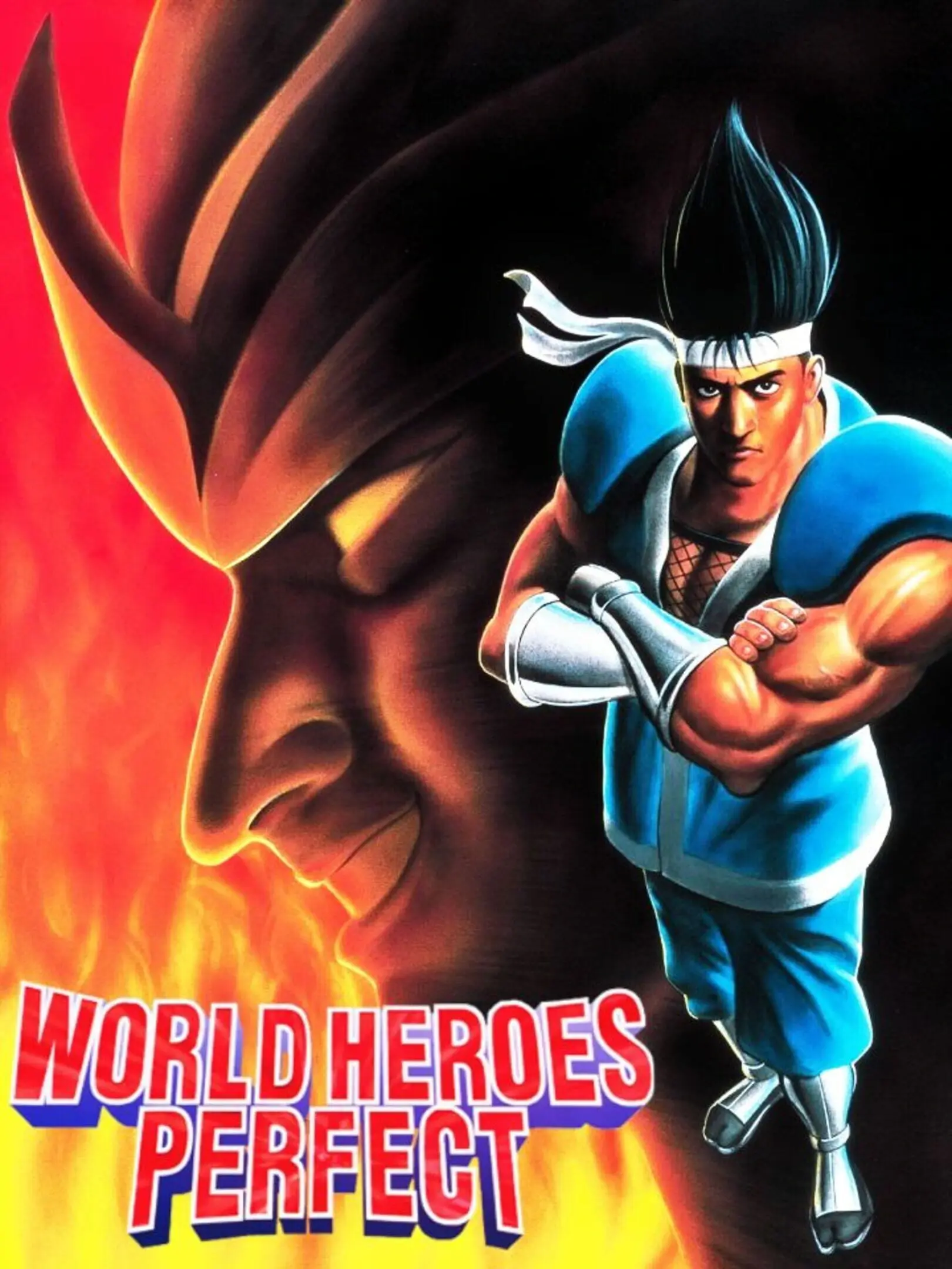 Picture of World Heroes Perfect
