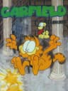 Picture of Garfield Labyrinth
