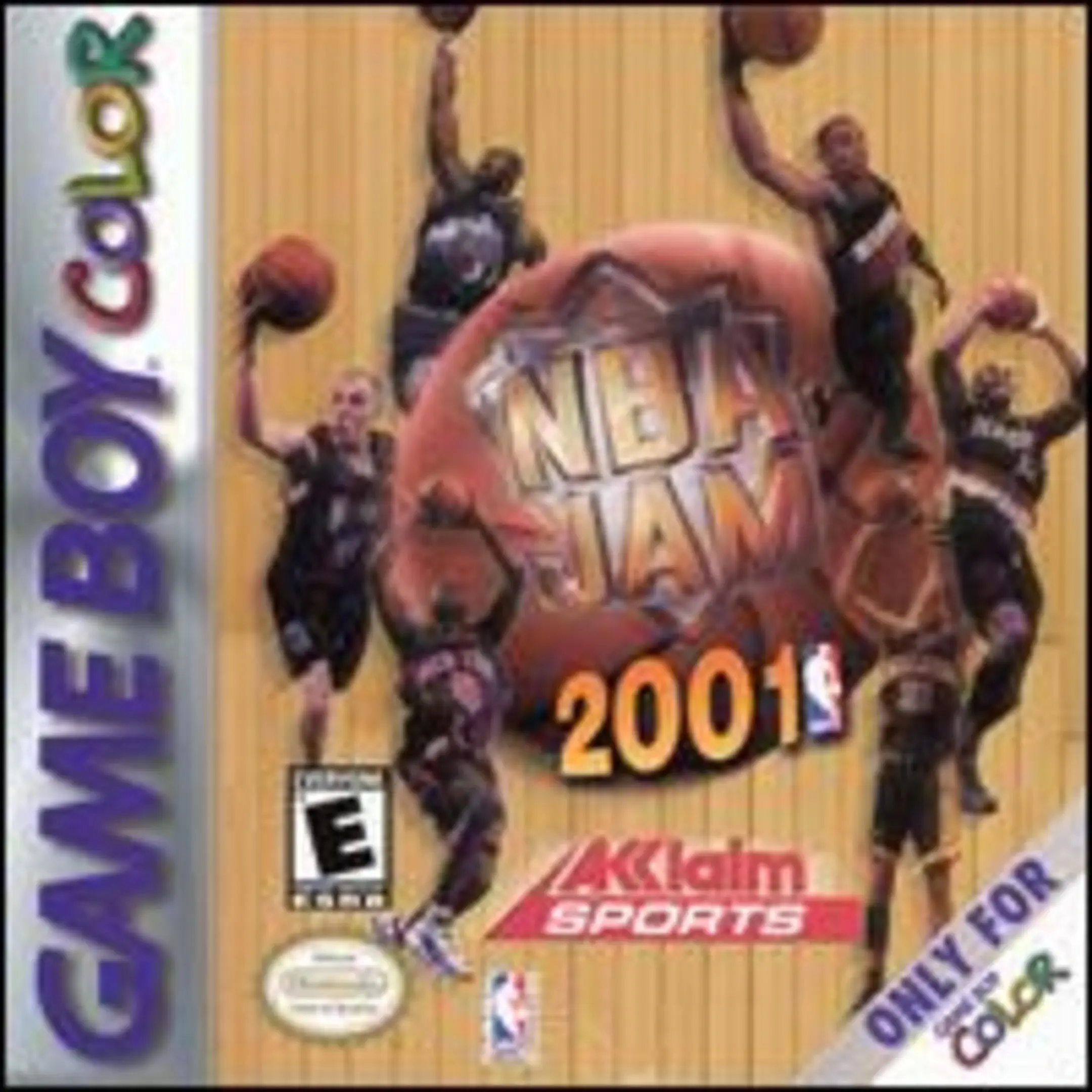 Picture of NBA Jam 2001