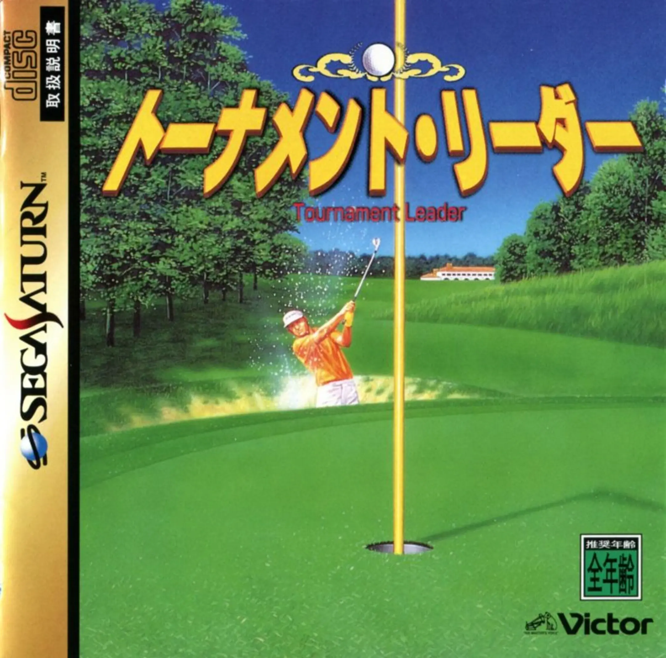 Picture of Virtual Golf 2