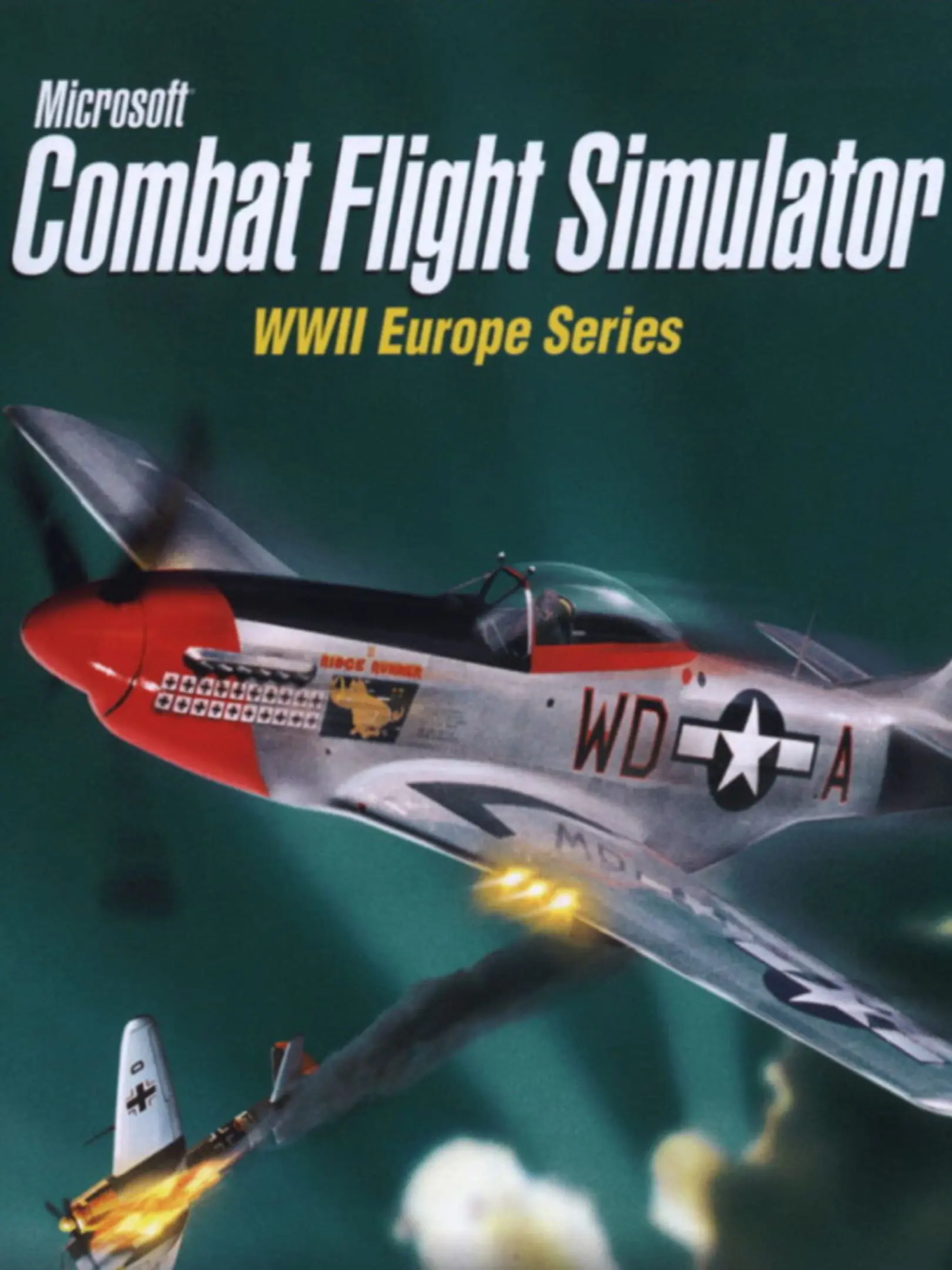 Picture of Microsoft Combat Flight Simulator