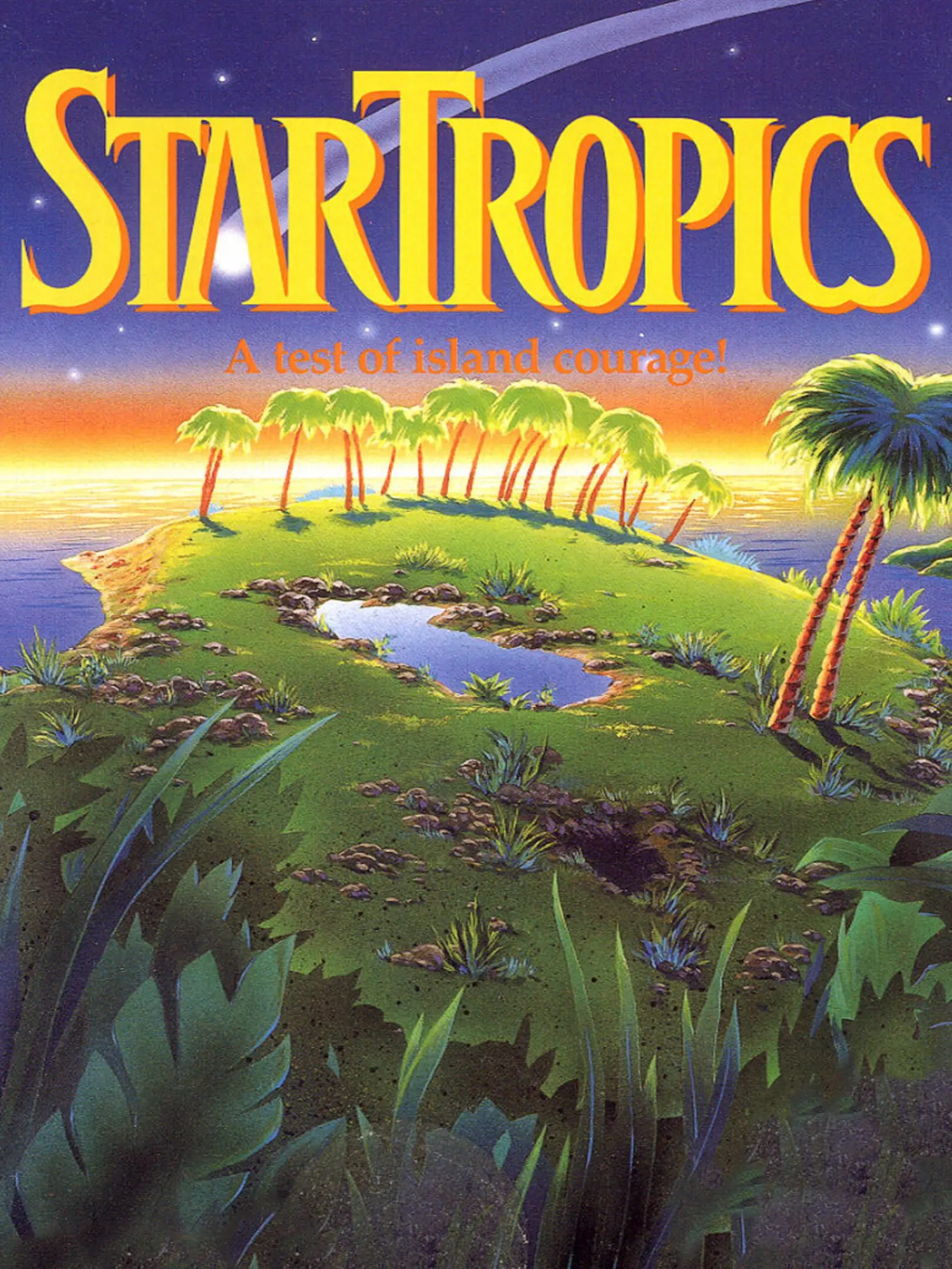 Picture of StarTropics