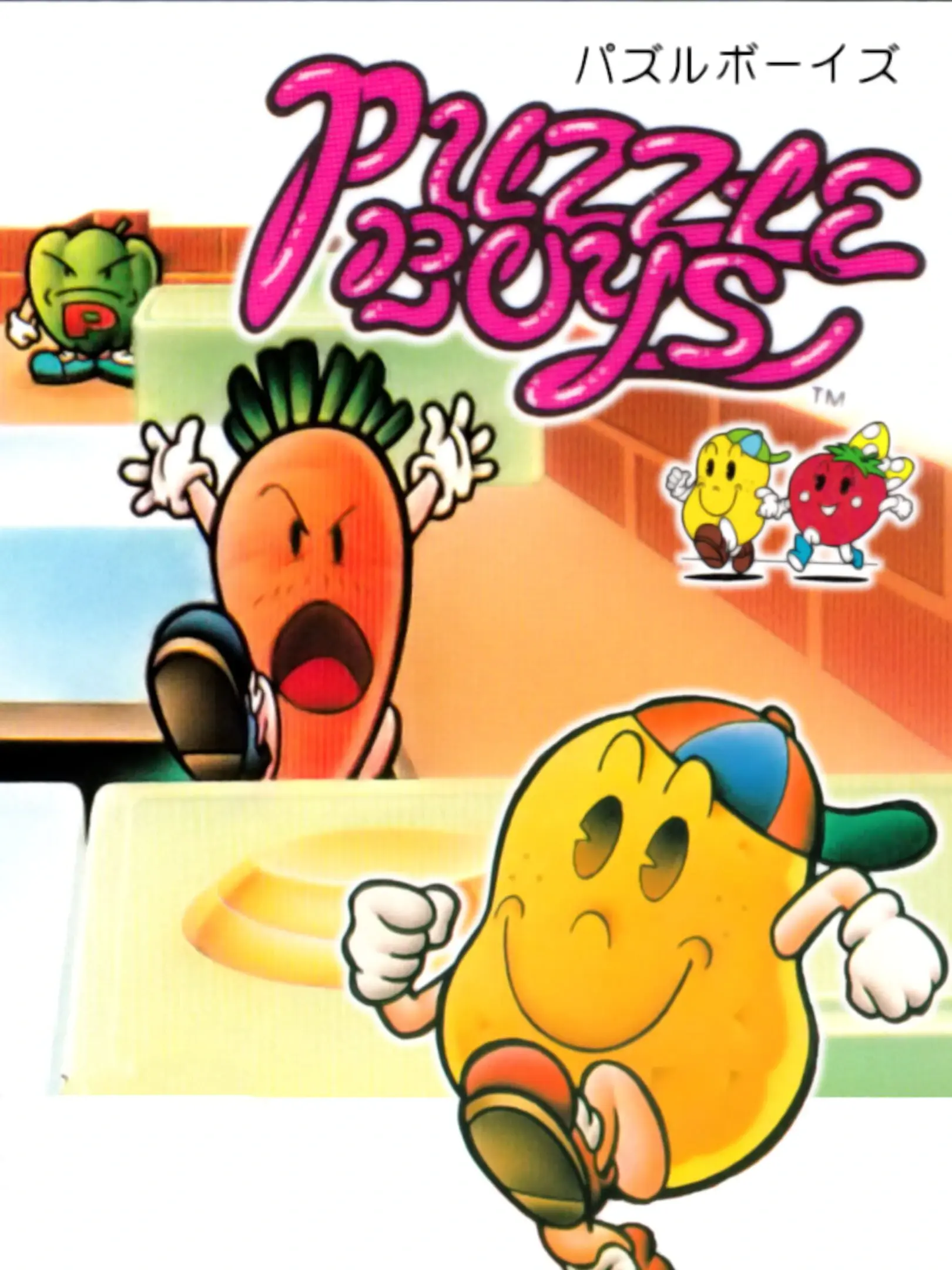 Picture of Puzzle Boys