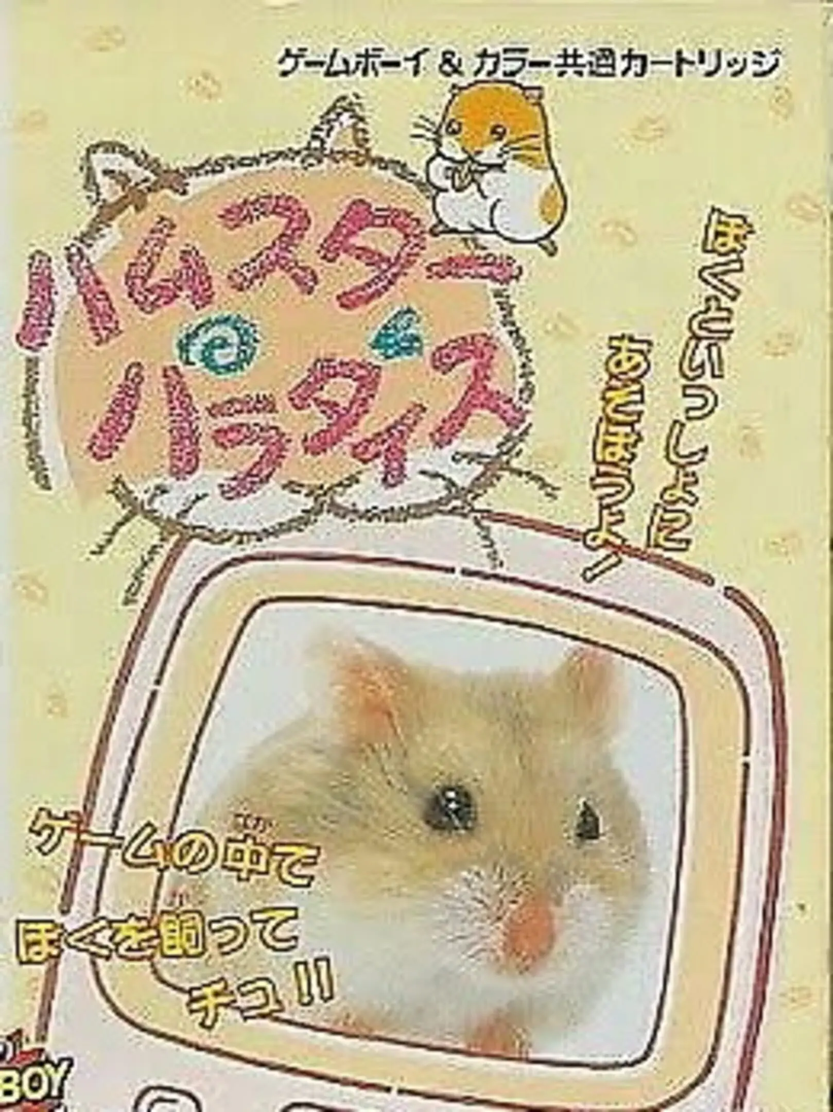 Picture of Hamster Paradise
