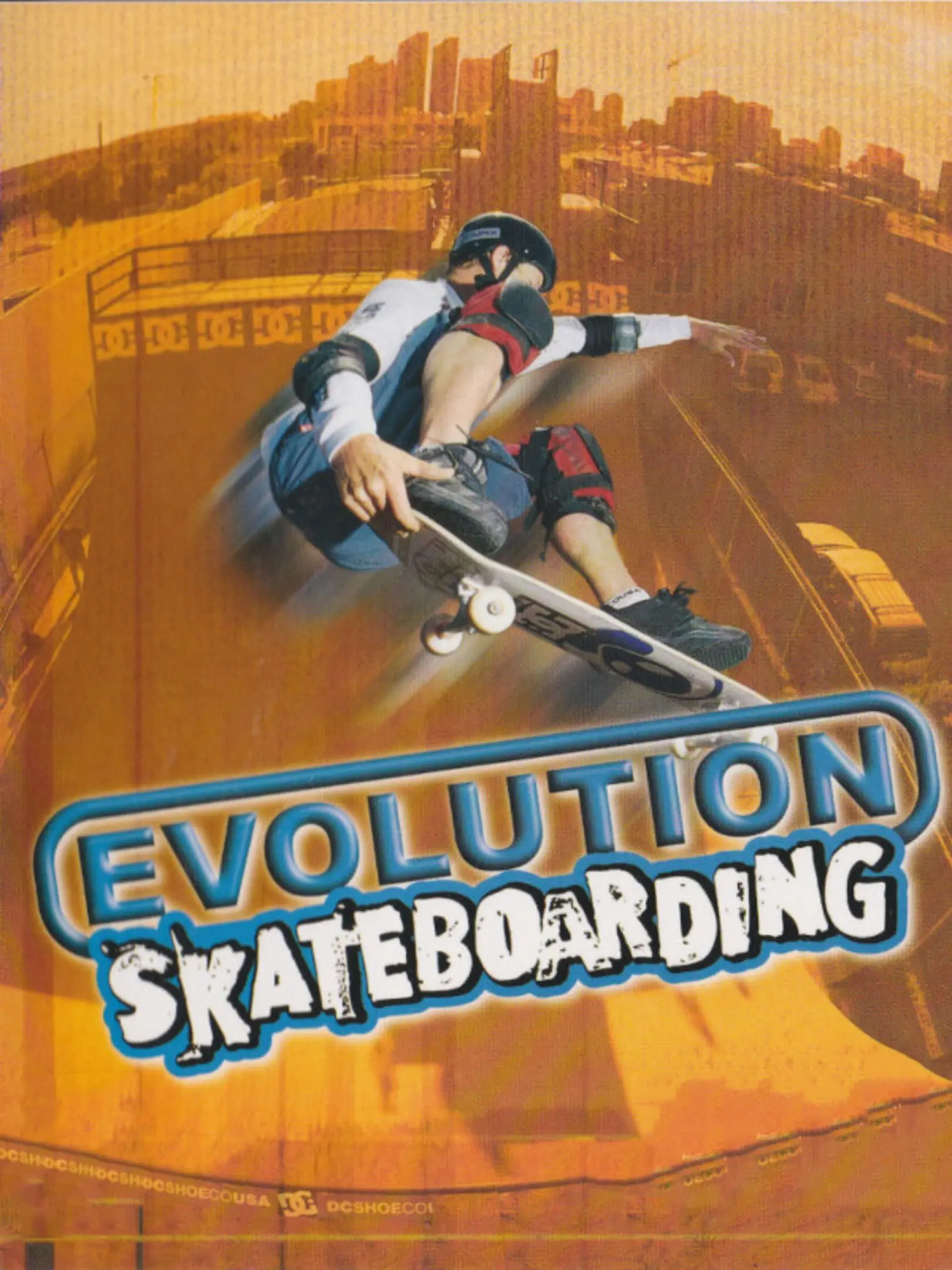 Picture of Evolution Skateboarding