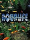 Picture of AquaLife
