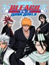 Picture of Bleach DS 2nd: Kokui Hirameku Requiem