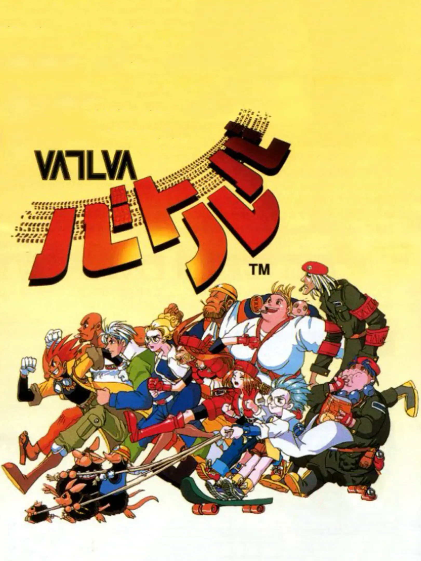 Picture of VATLVA