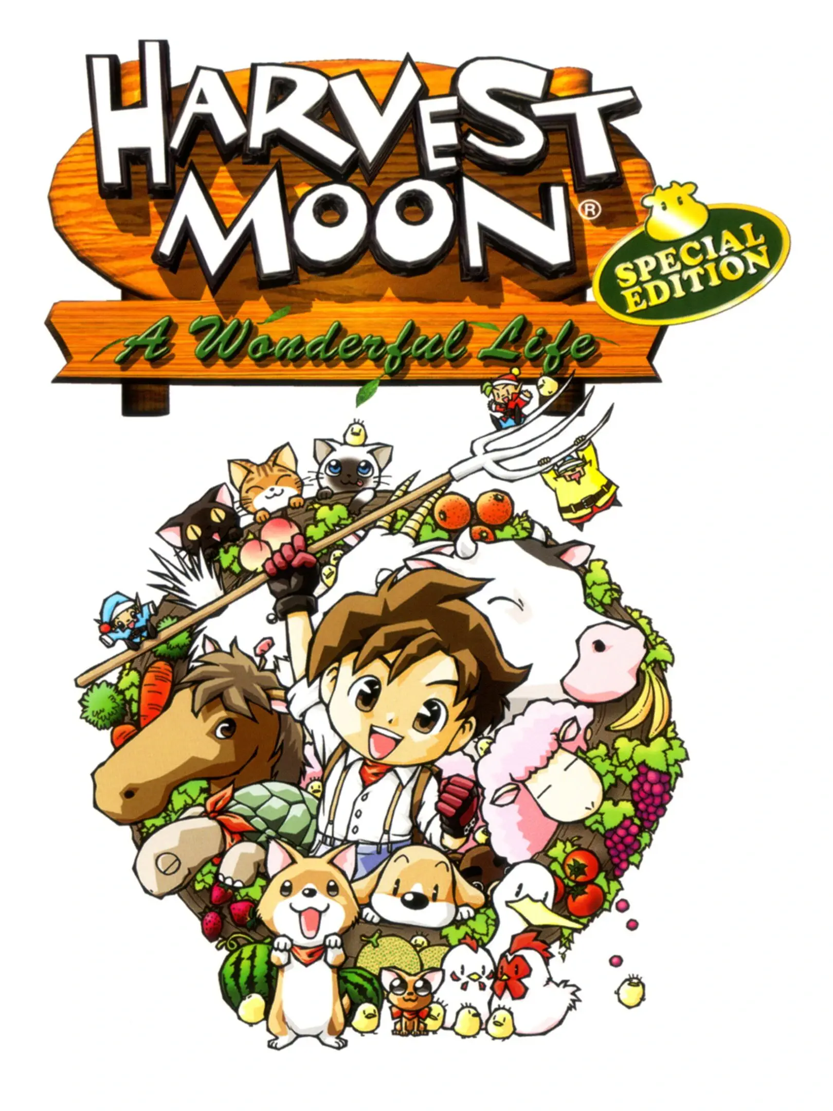 Harvest Moon: A Wonderful Life