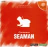 Picture of Christmas Seaman