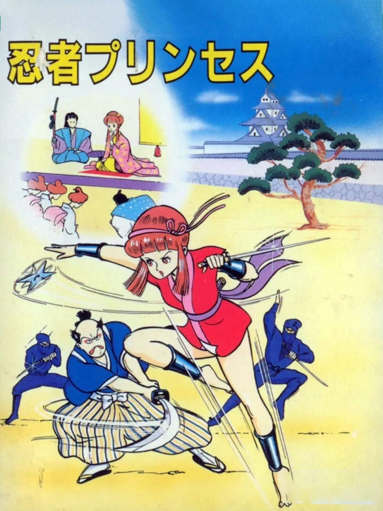 Picture of Ninja Princess