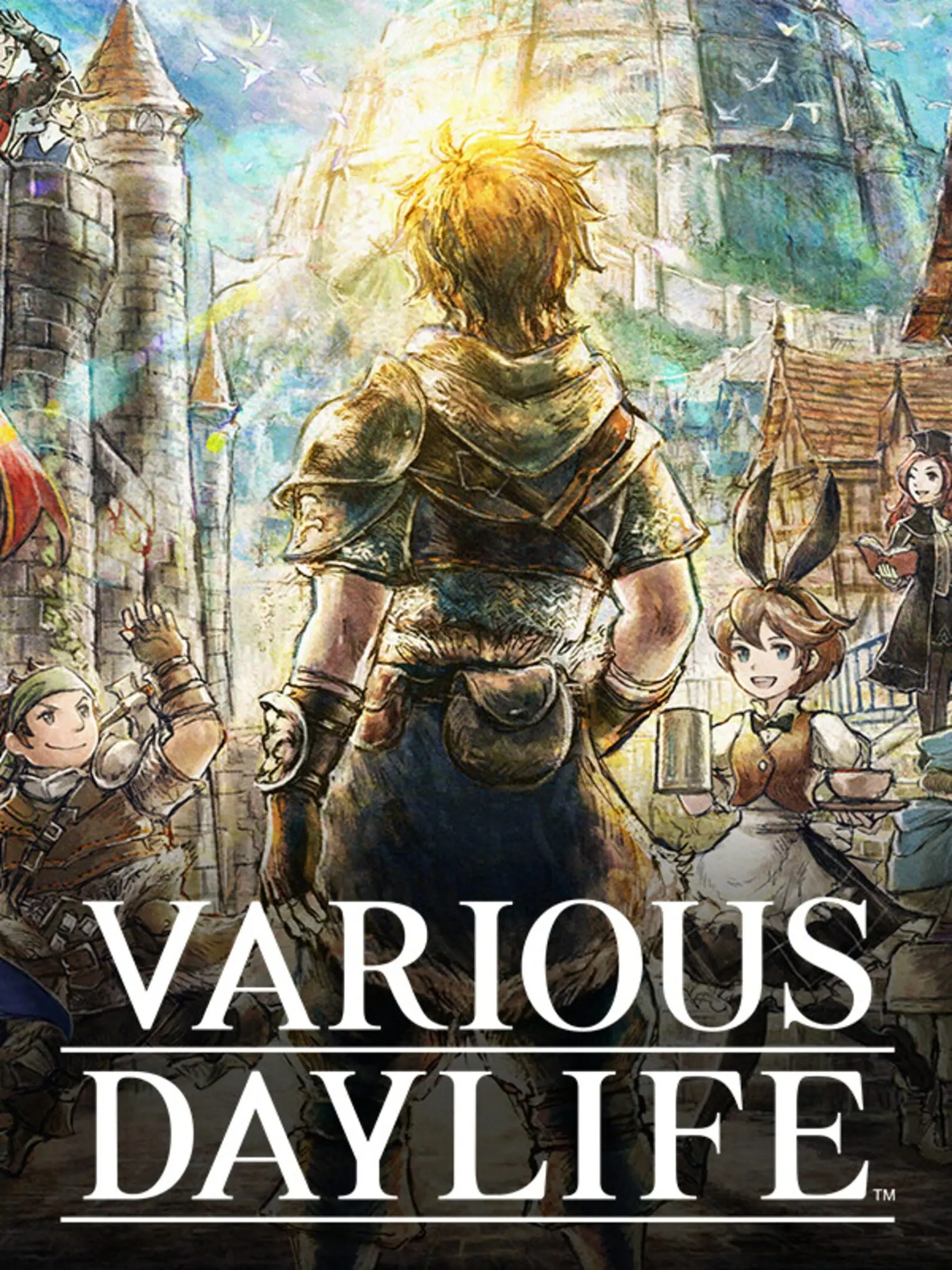 Picture of Various Daylife