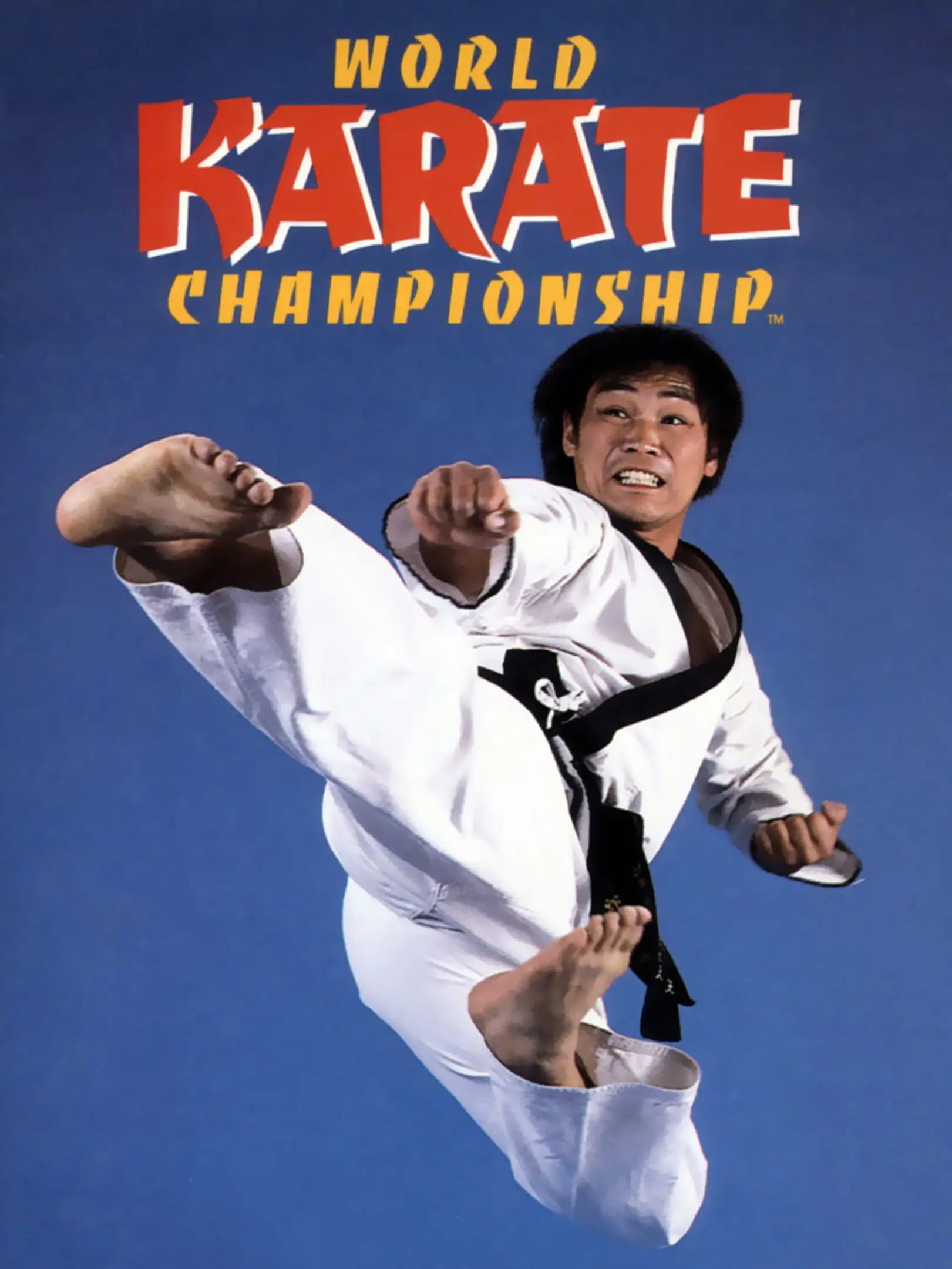 Picture of World Karate Championship
