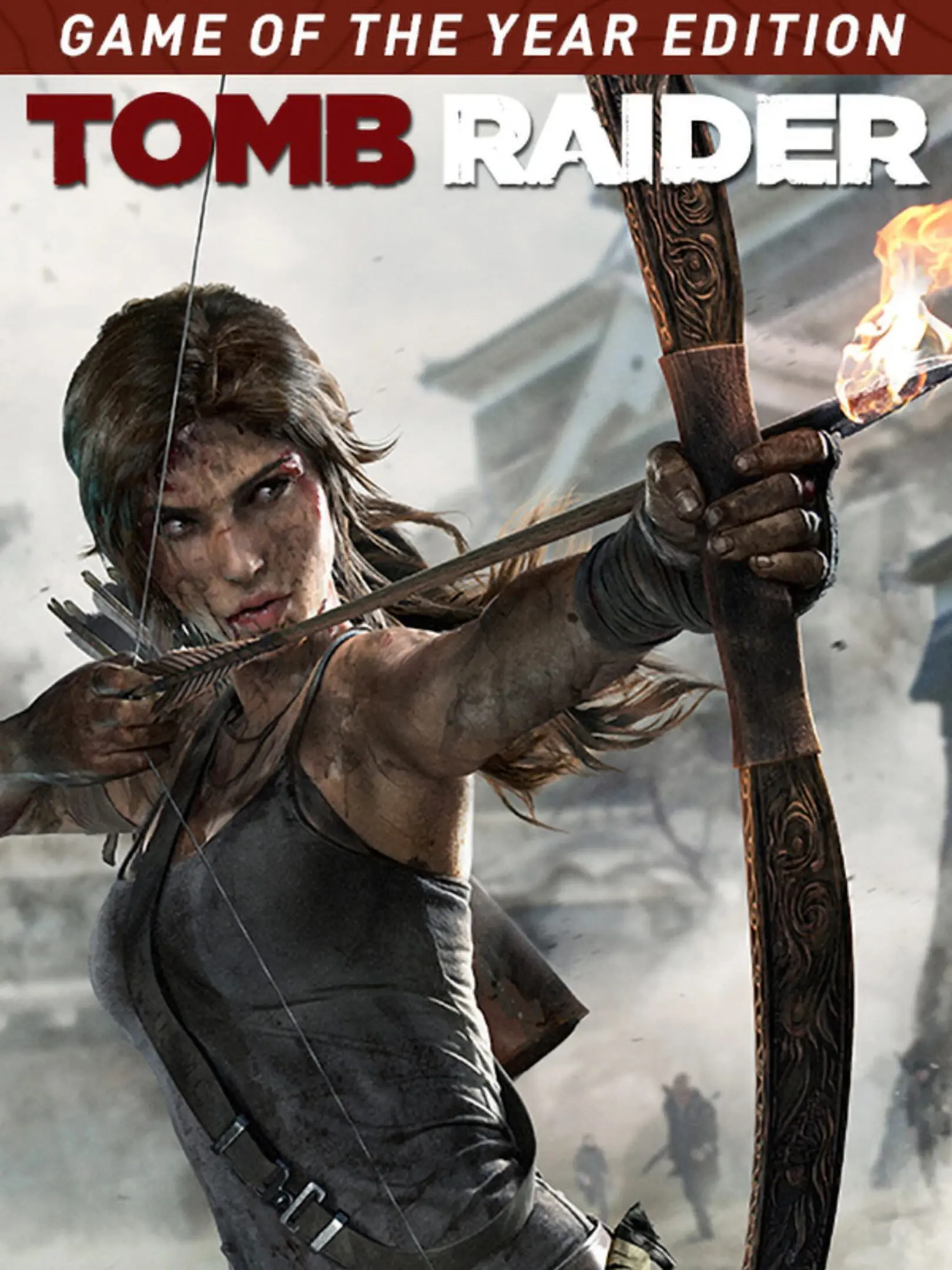 Picture of Tomb Raider Game of the year edition 1