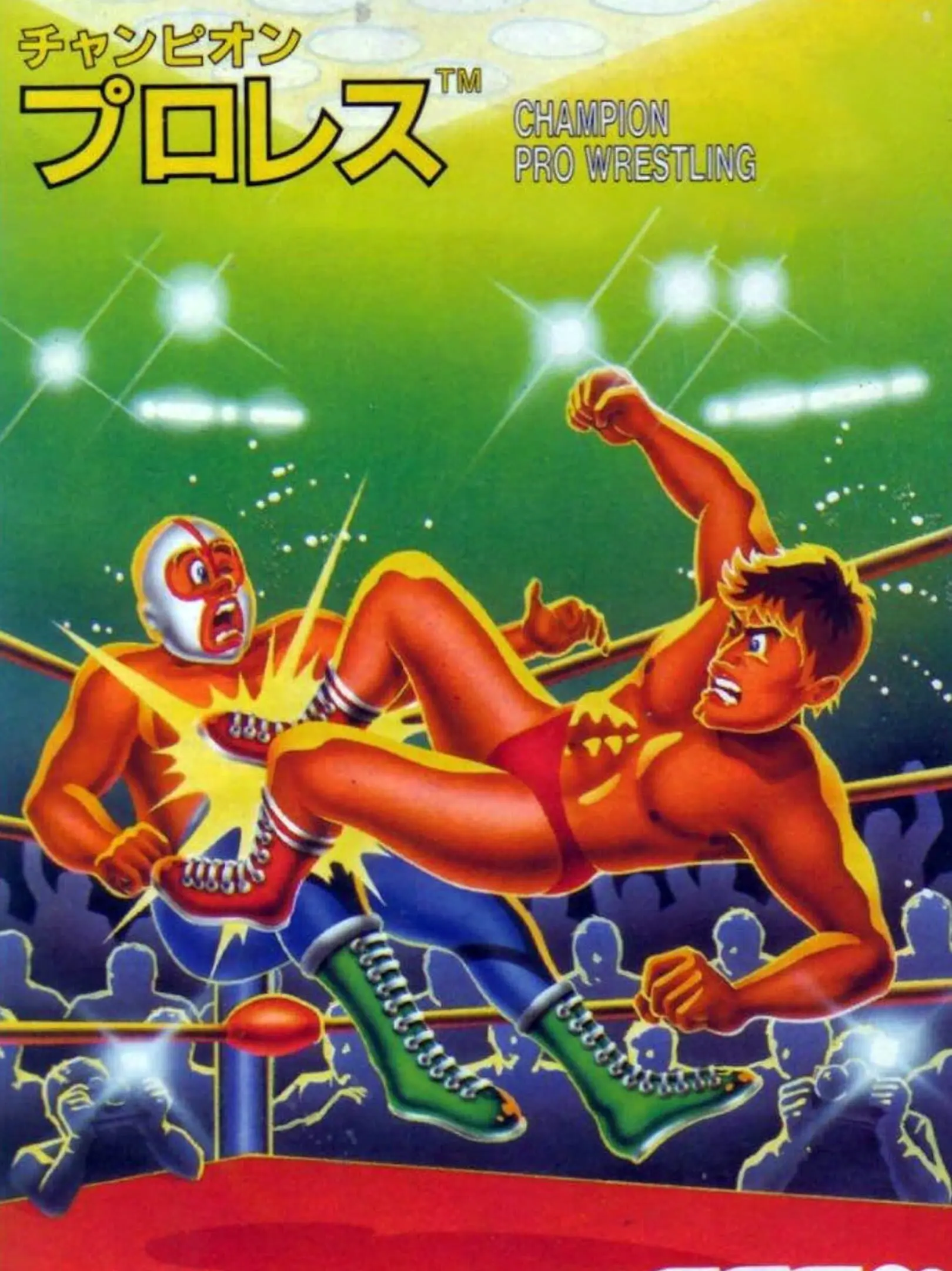 Picture of Champion Pro Wrestling