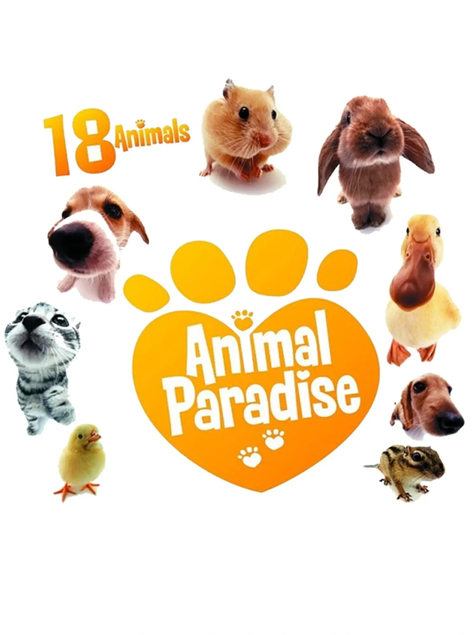 Picture of Animal Paradise