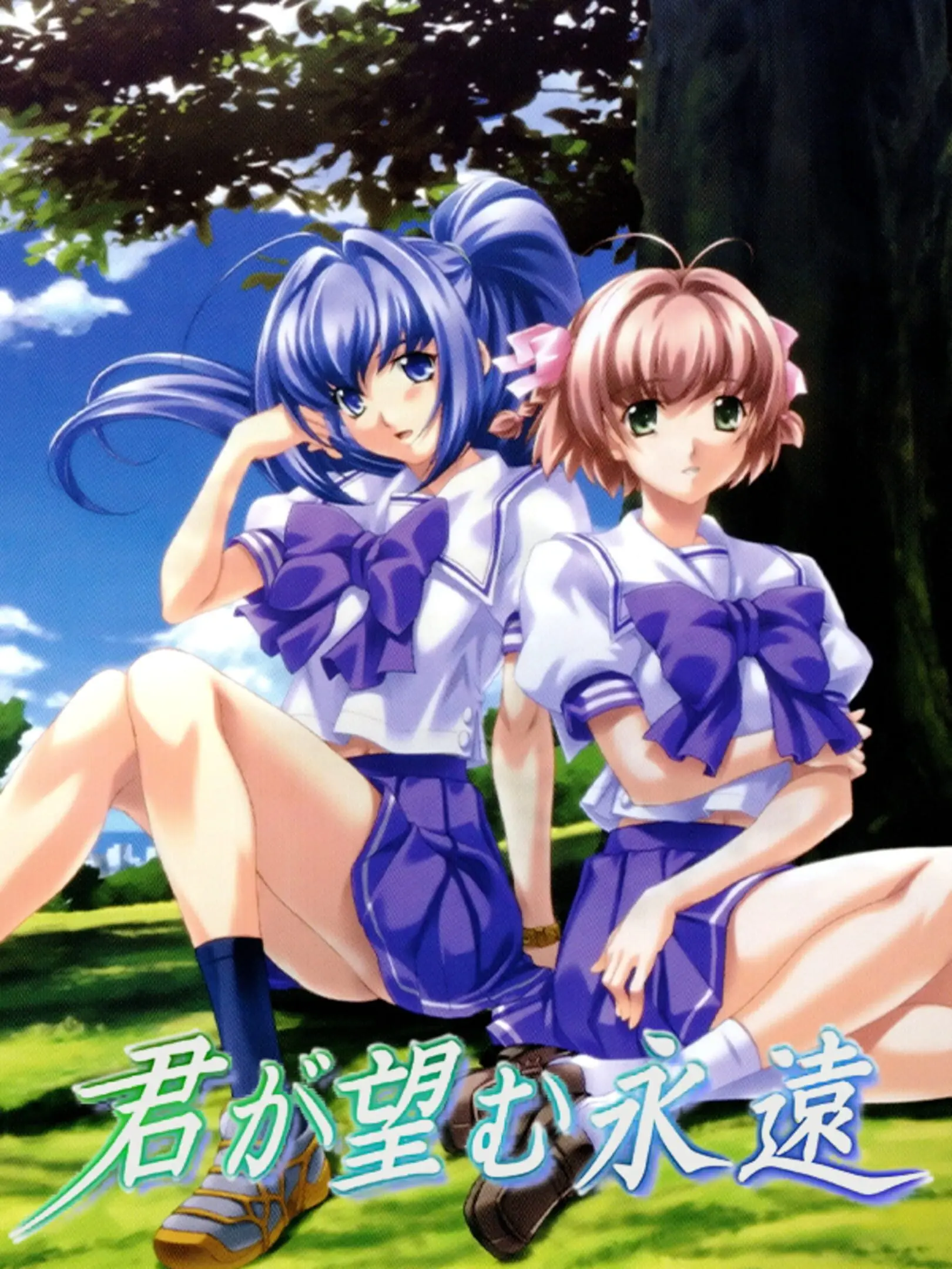 Kimi ga Nozomu Eien: Rumbling Hearts