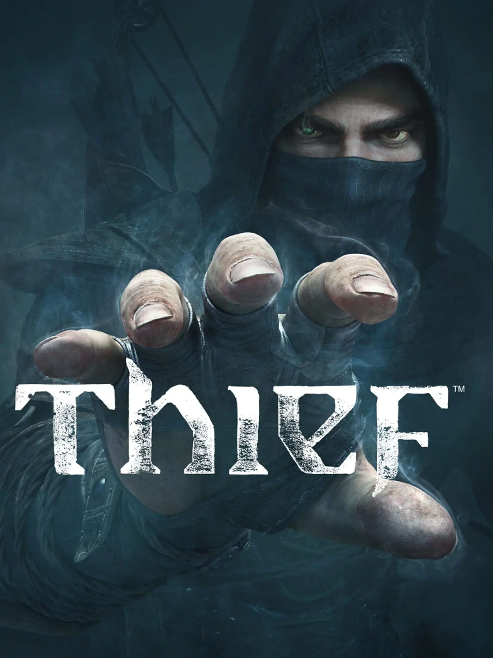 Picture of Thief