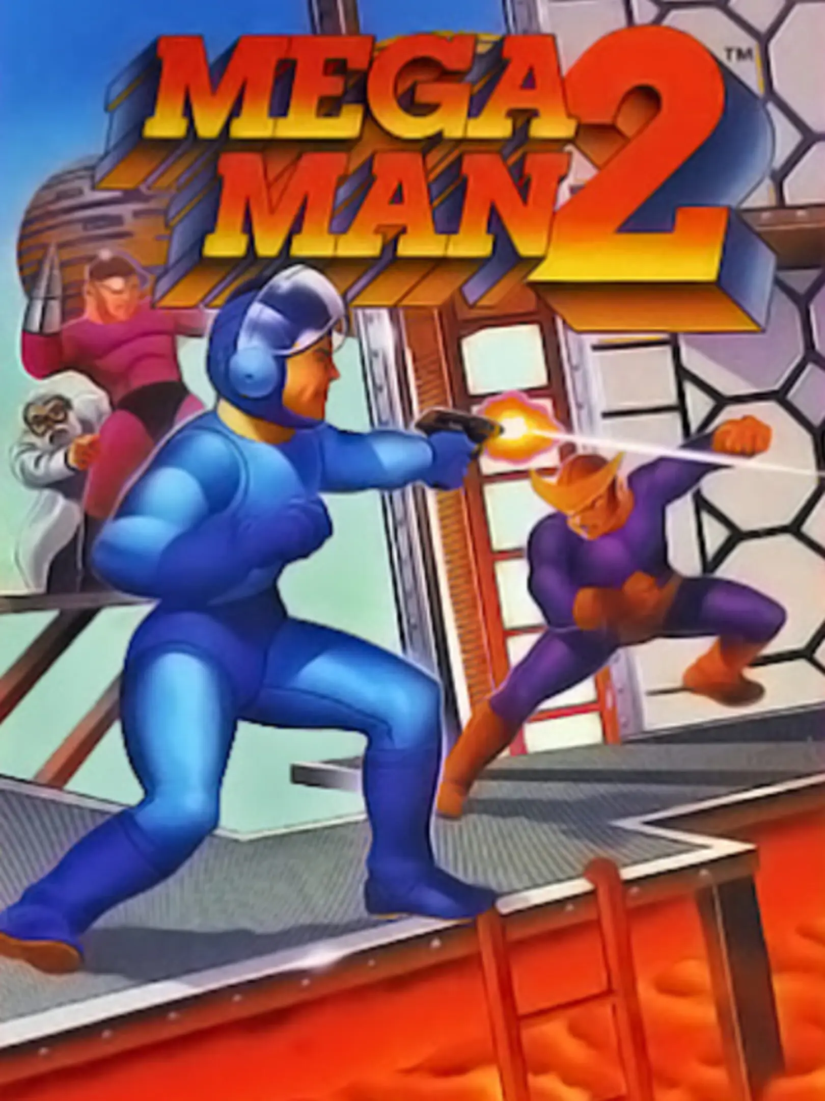 Picture of Mega Man 2