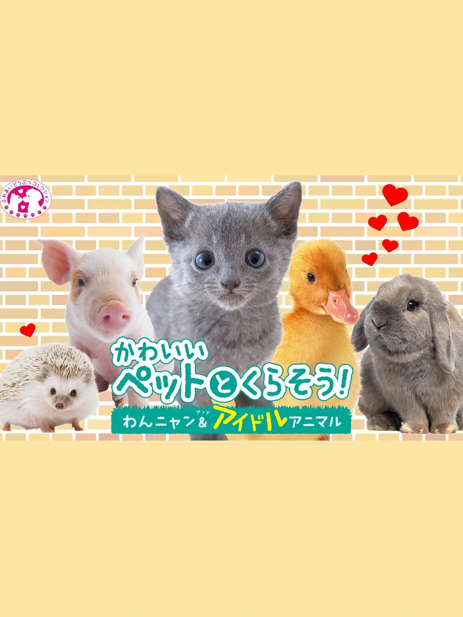 Picture of Kawaii Pet to Kurasou! Wan Nyan & Idol Animal