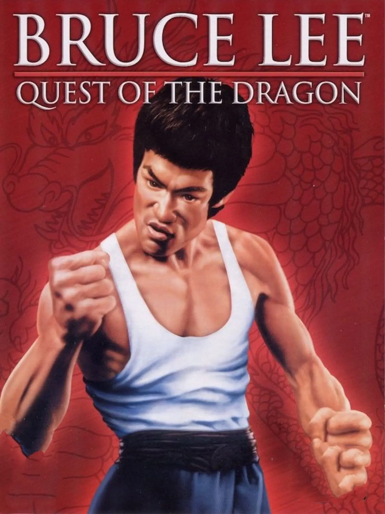 Picture of Bruce Lee: Quest of the Dragon