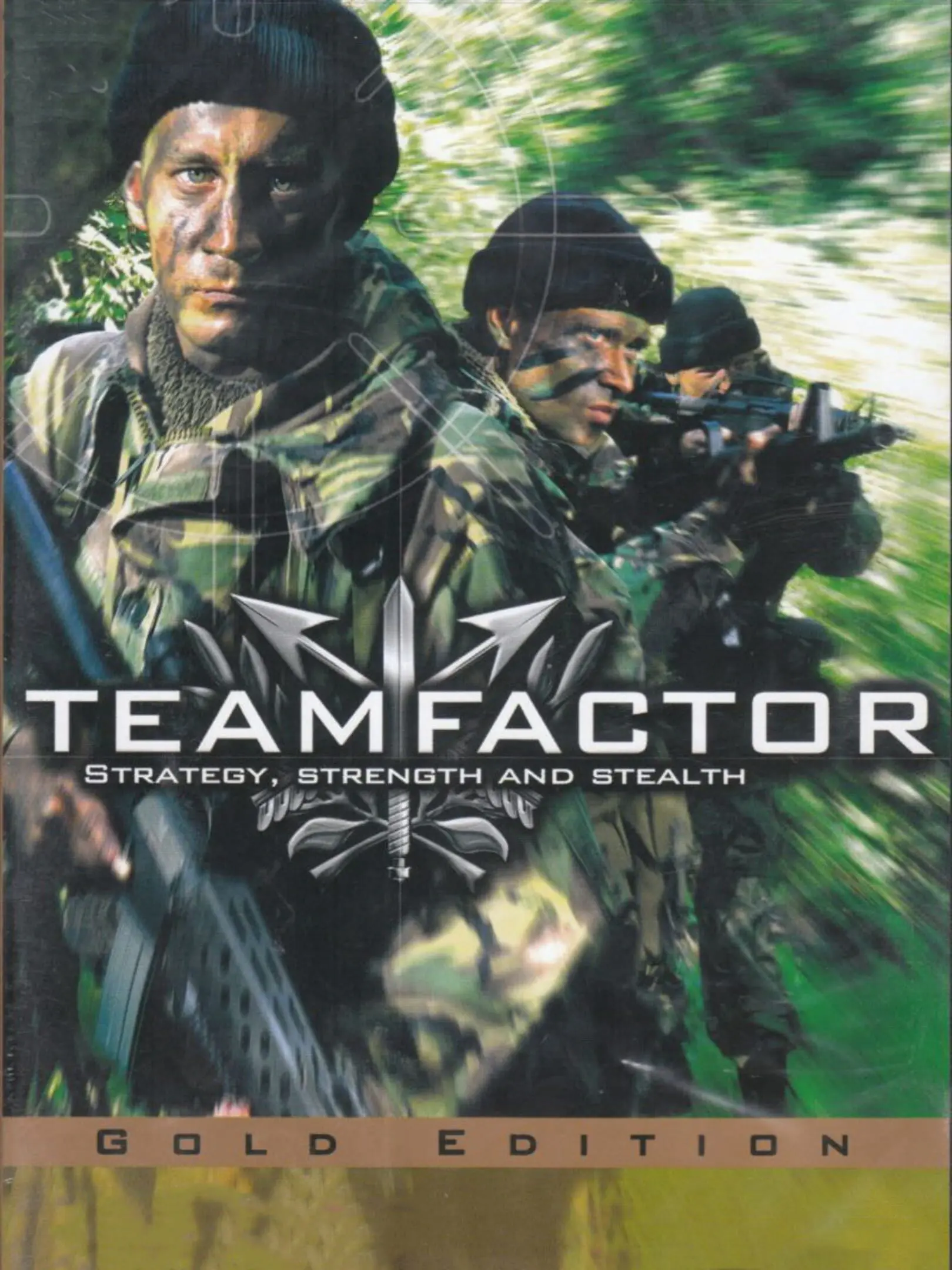 Picture of Team Factor
