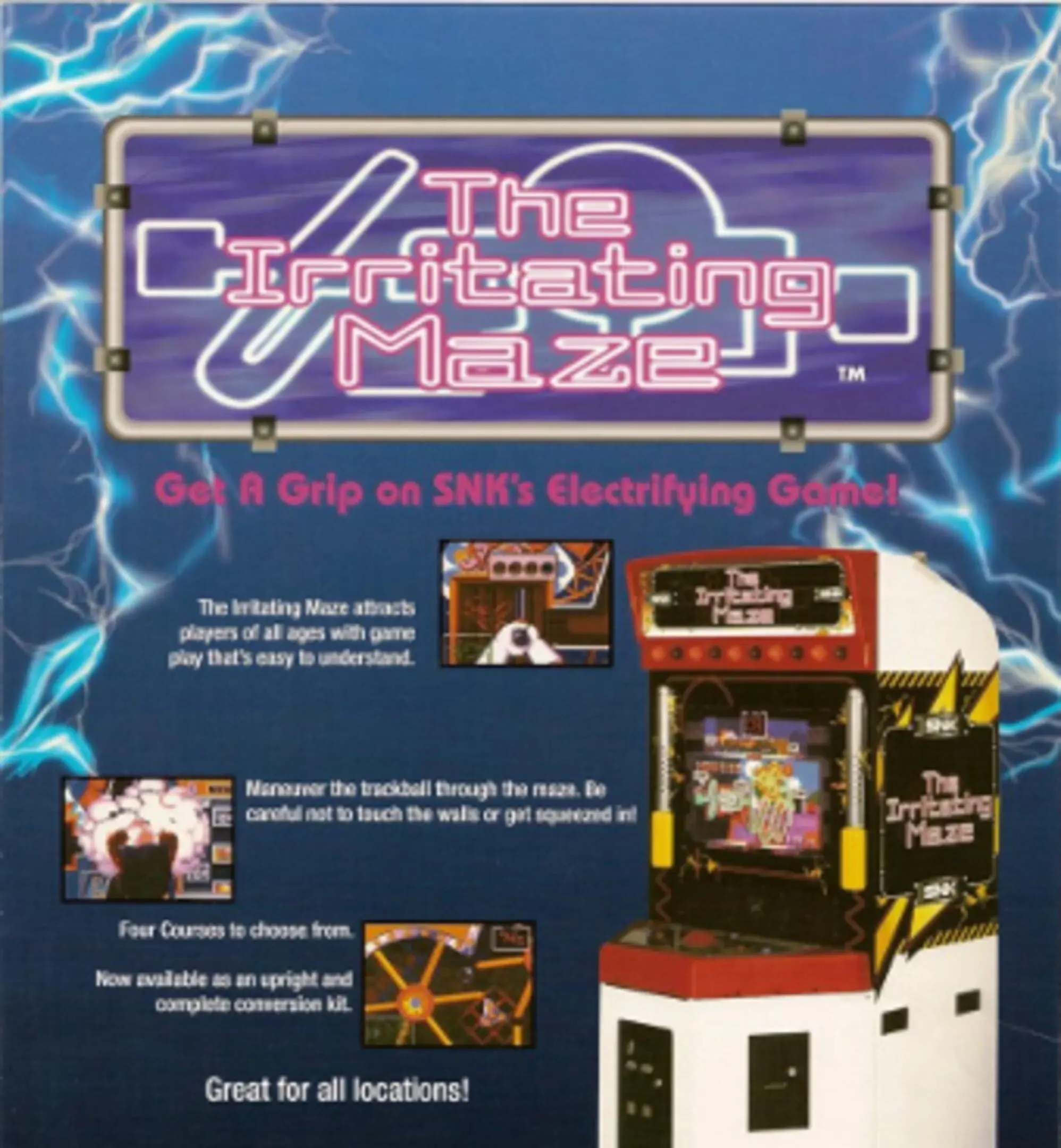 Picture of The Irritating Maze