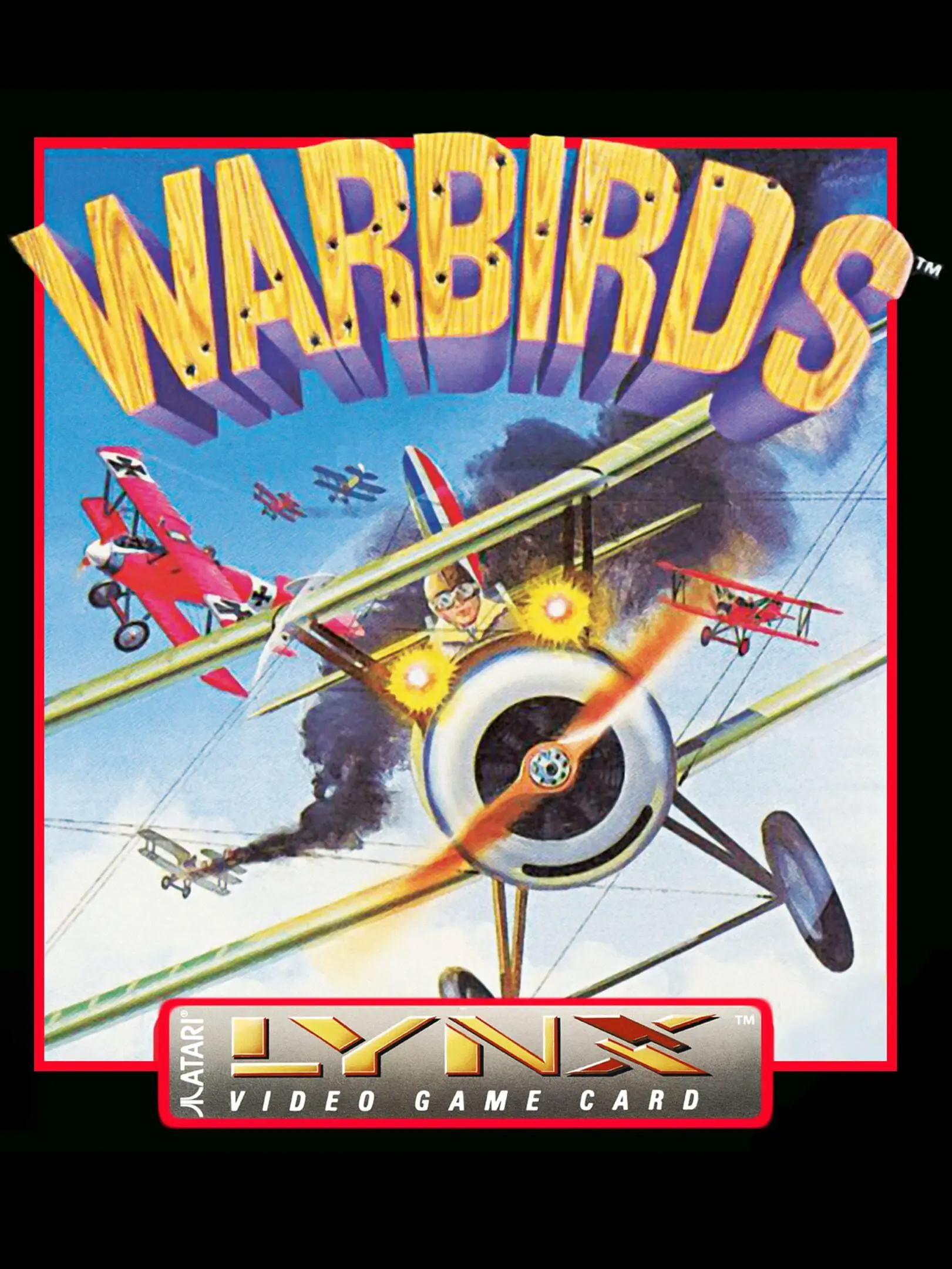 Picture of Warbirds