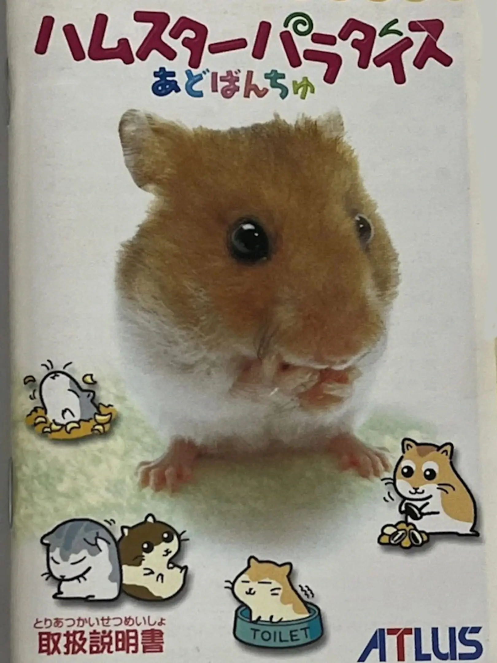 Picture of Hamster Paradise Advanchu