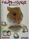 Picture of Hamster Paradise Advanchu