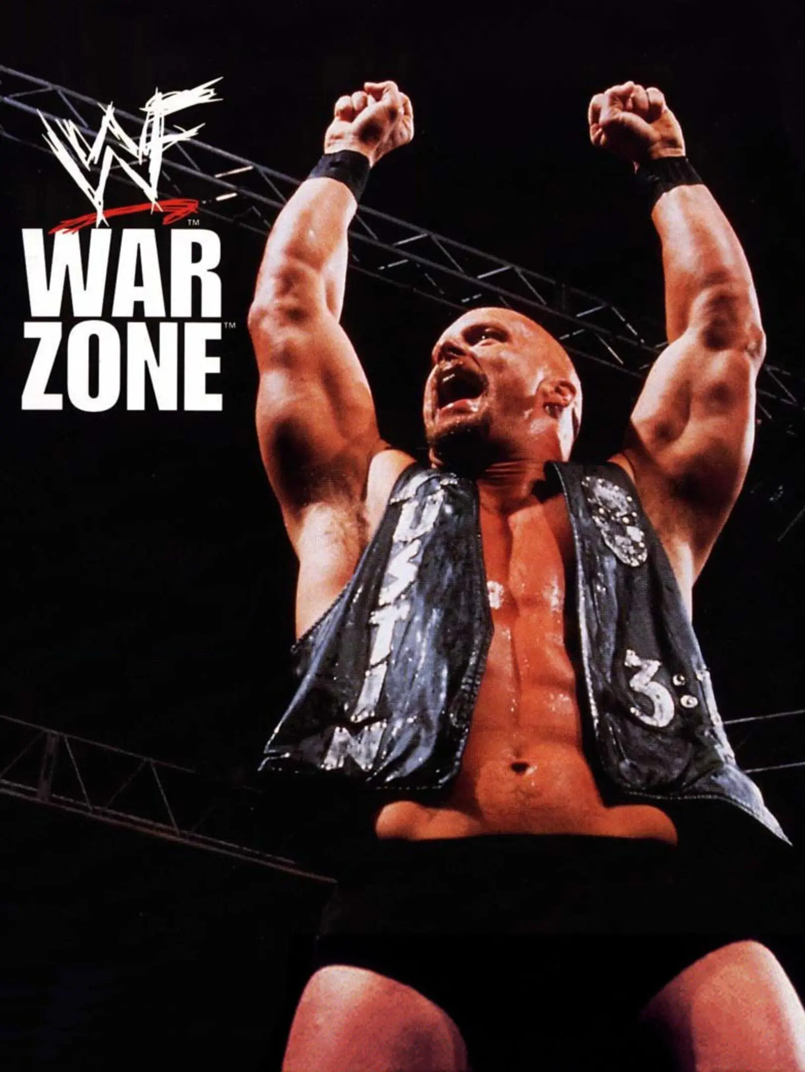 Picture of WWF War Zone