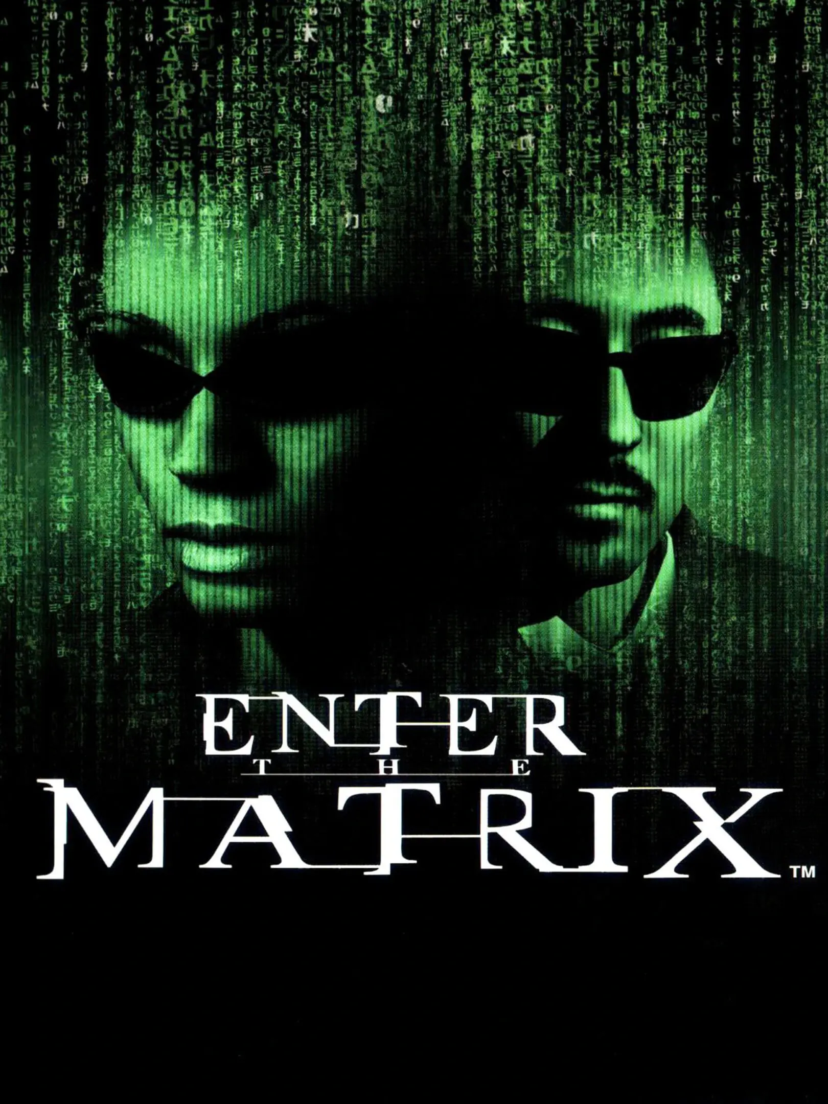 Picture of Enter the Matrix