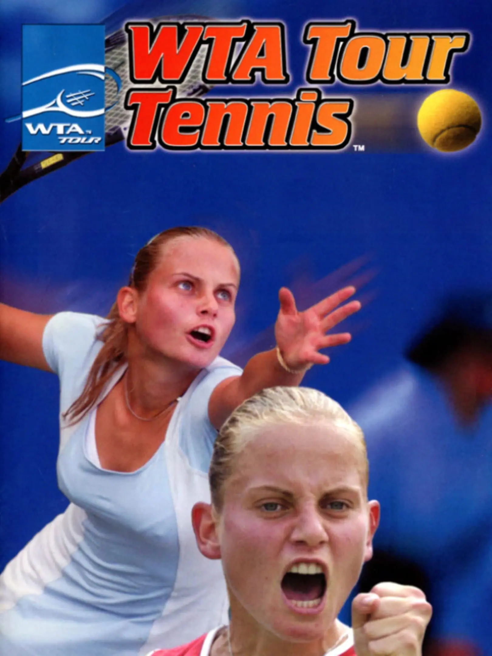 Picture of WTA Tour Tennis