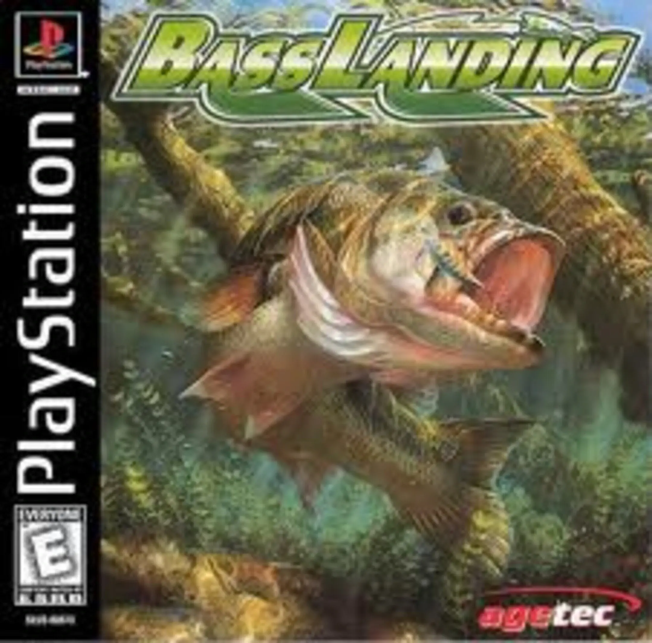 Picture of Bass Landing