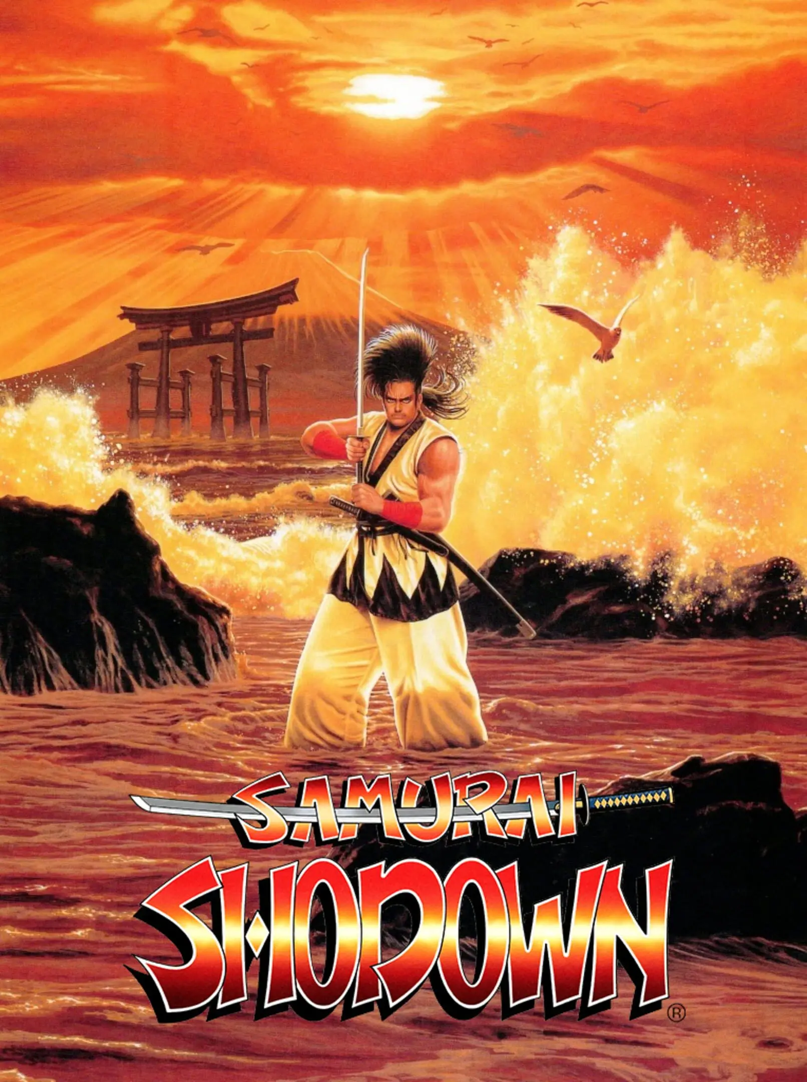 Game cover