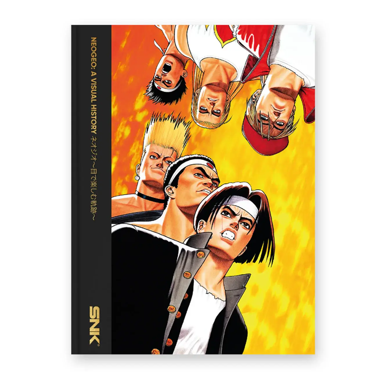 Picture of NEOGEO: A VISUAL HISTORY (18)