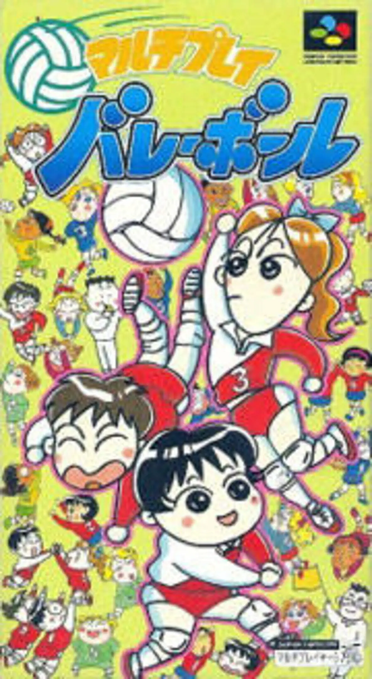 Picture of Multi Play Volleyball