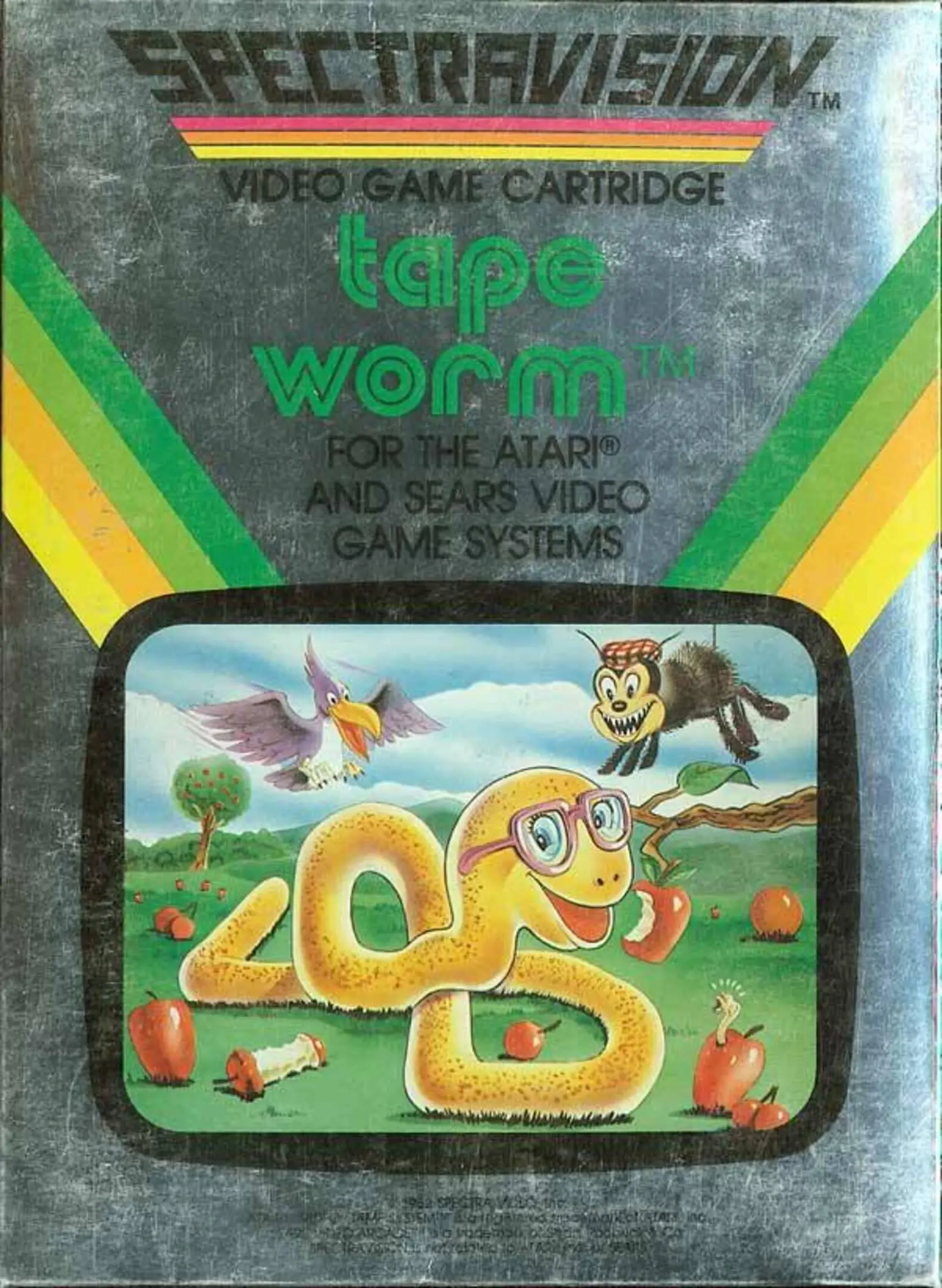 Picture of Tape Worm