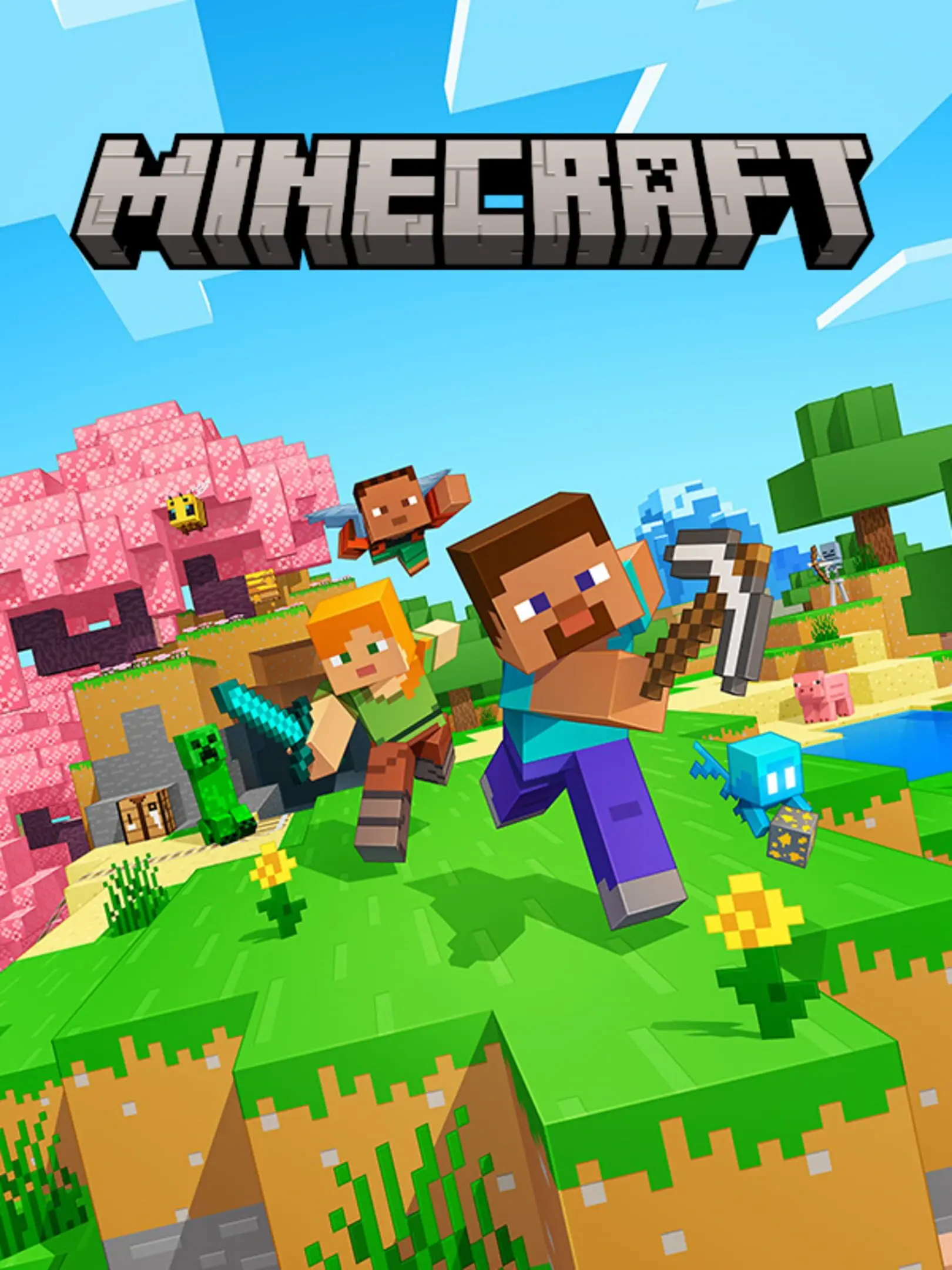 Picture of Minecraft