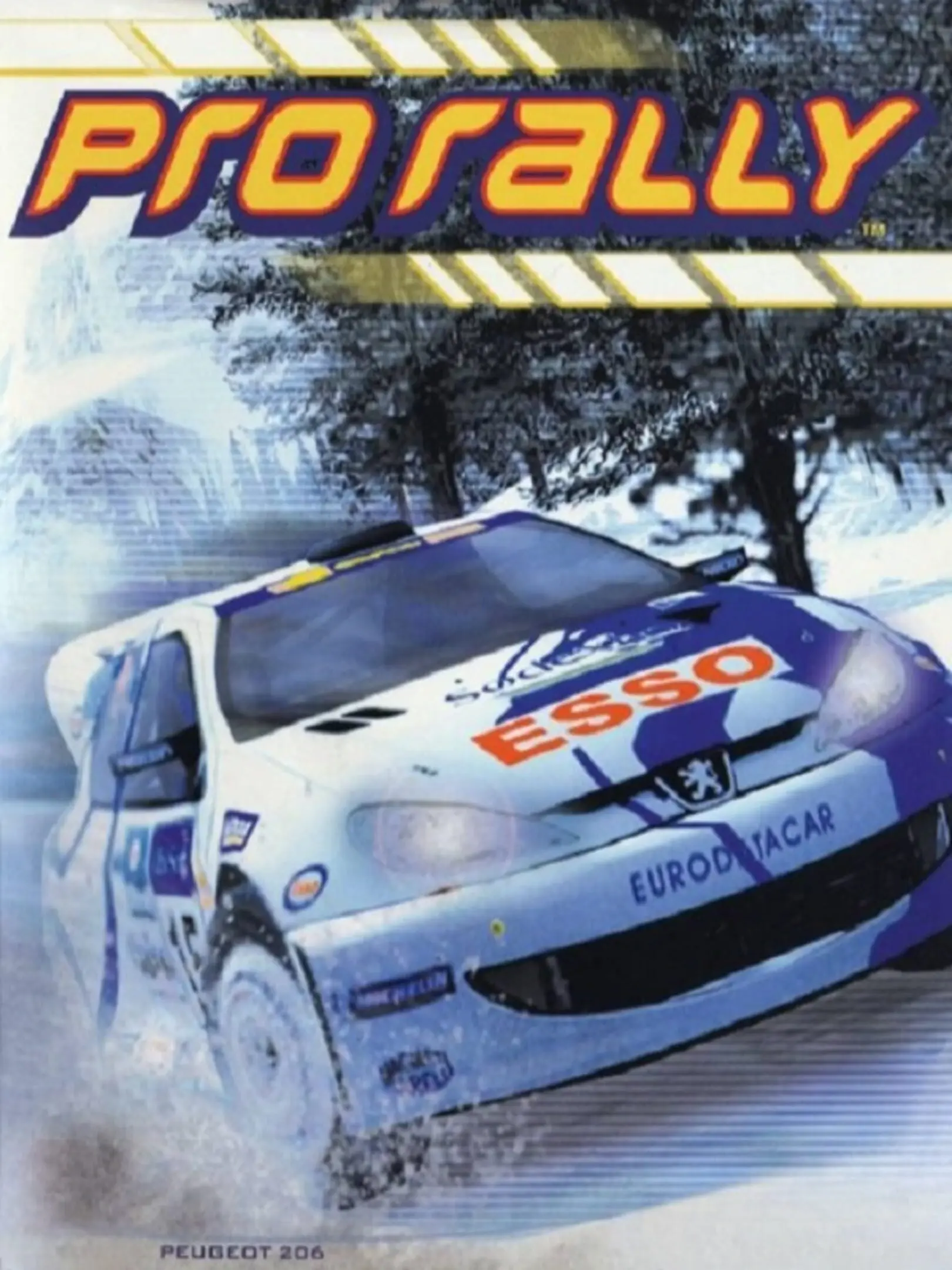 Pro Rally