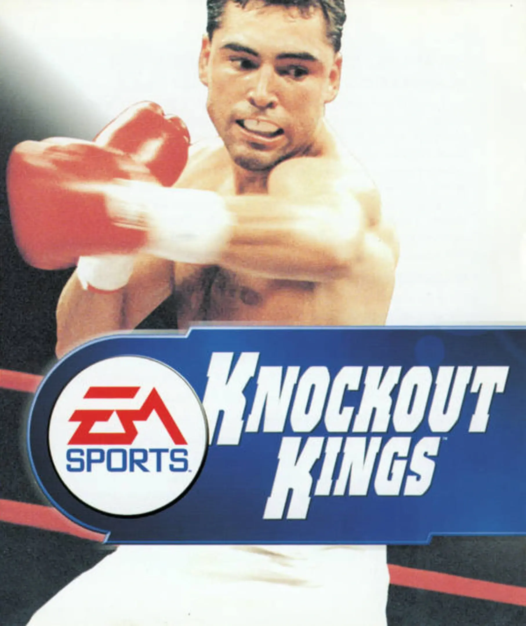 Picture of Knockout Kings 99