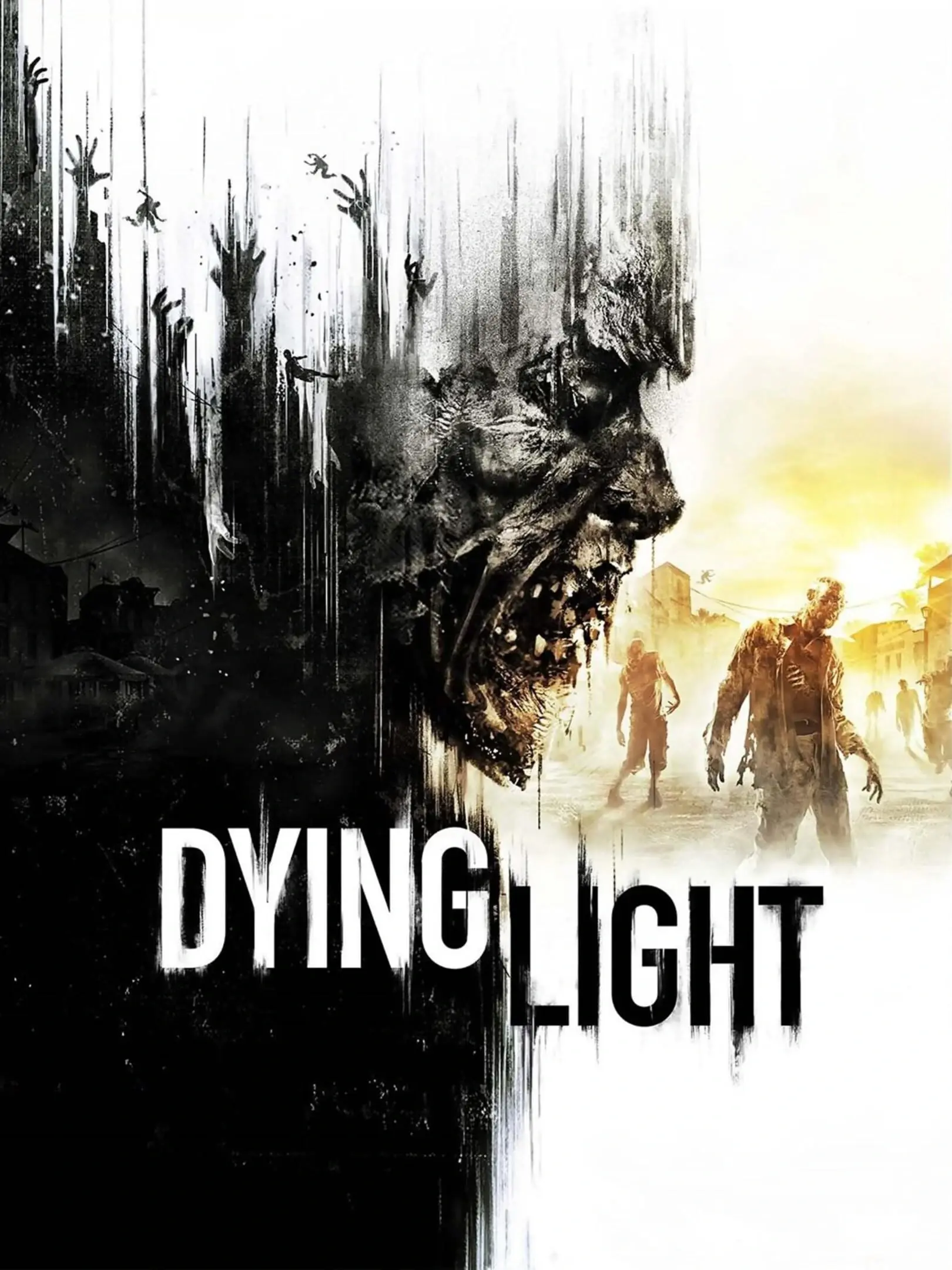Picture of Dying Light