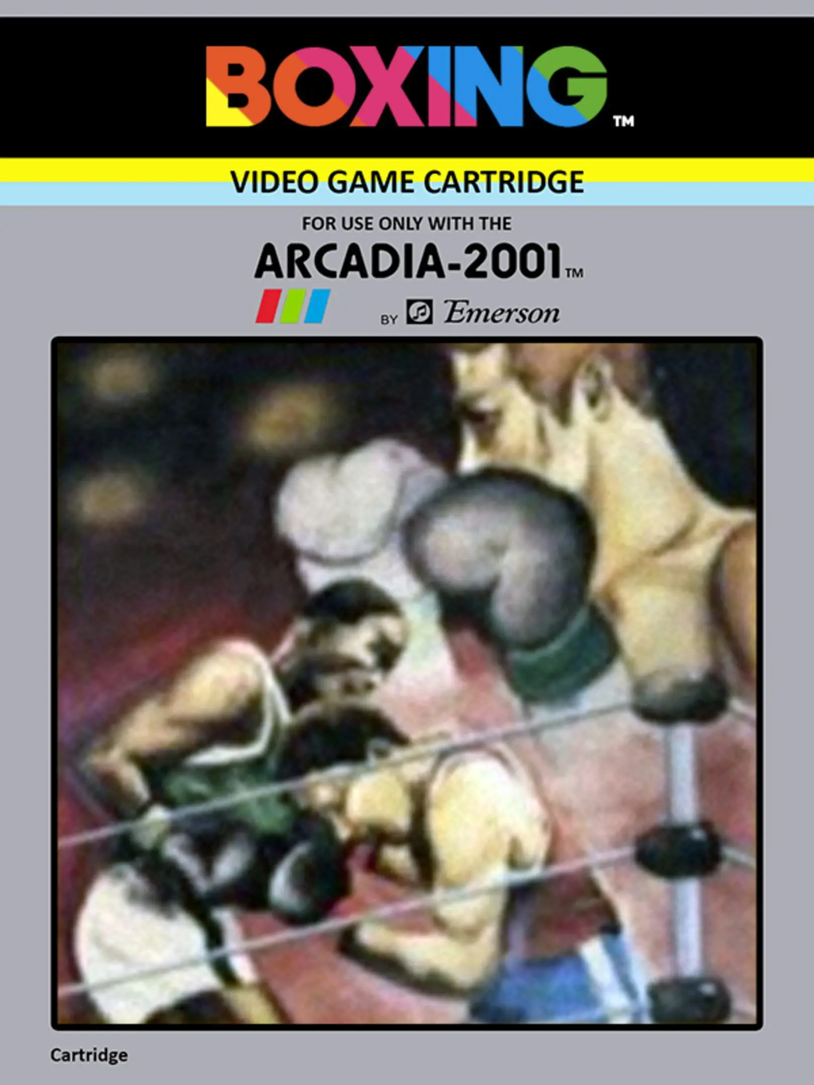 Picture of Boxing